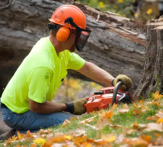 tree services Newburyport